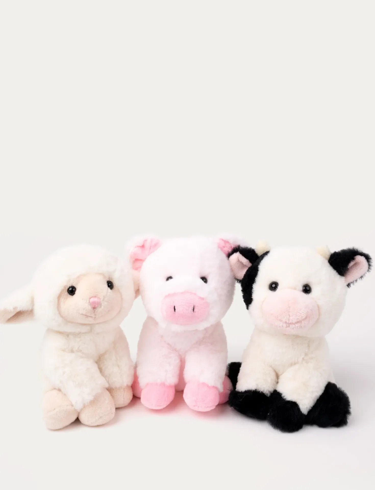 Teddy Farm , Sittande ko