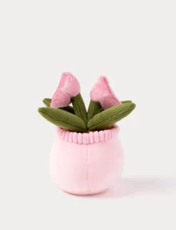 Teddy Flowers, Presentblomma
