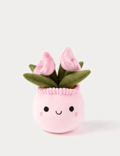 Teddy Flowers, Presentblomma, Trio