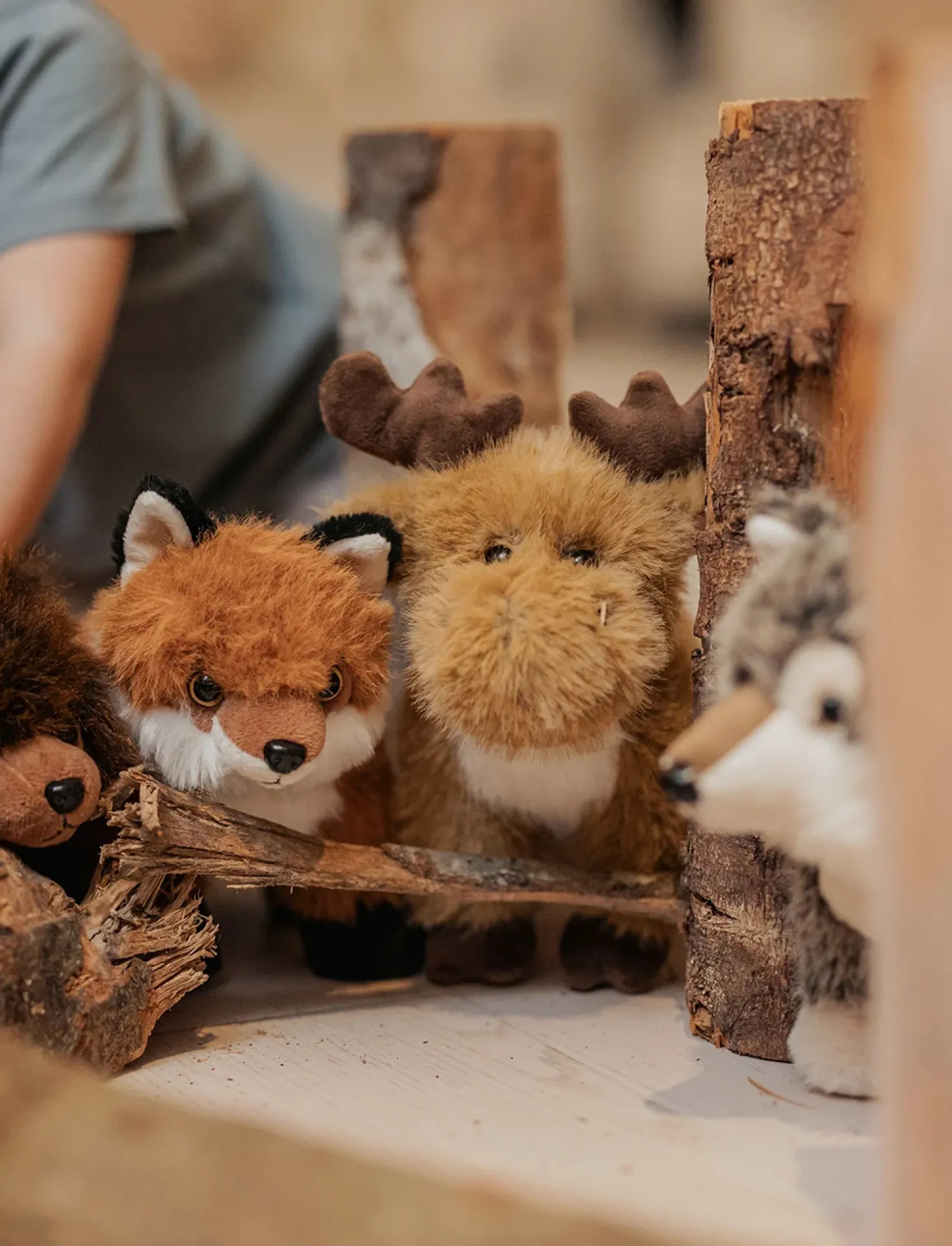 Teddy Forest, Älg