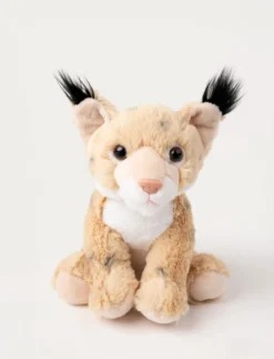 Teddy Forest, Lodjur