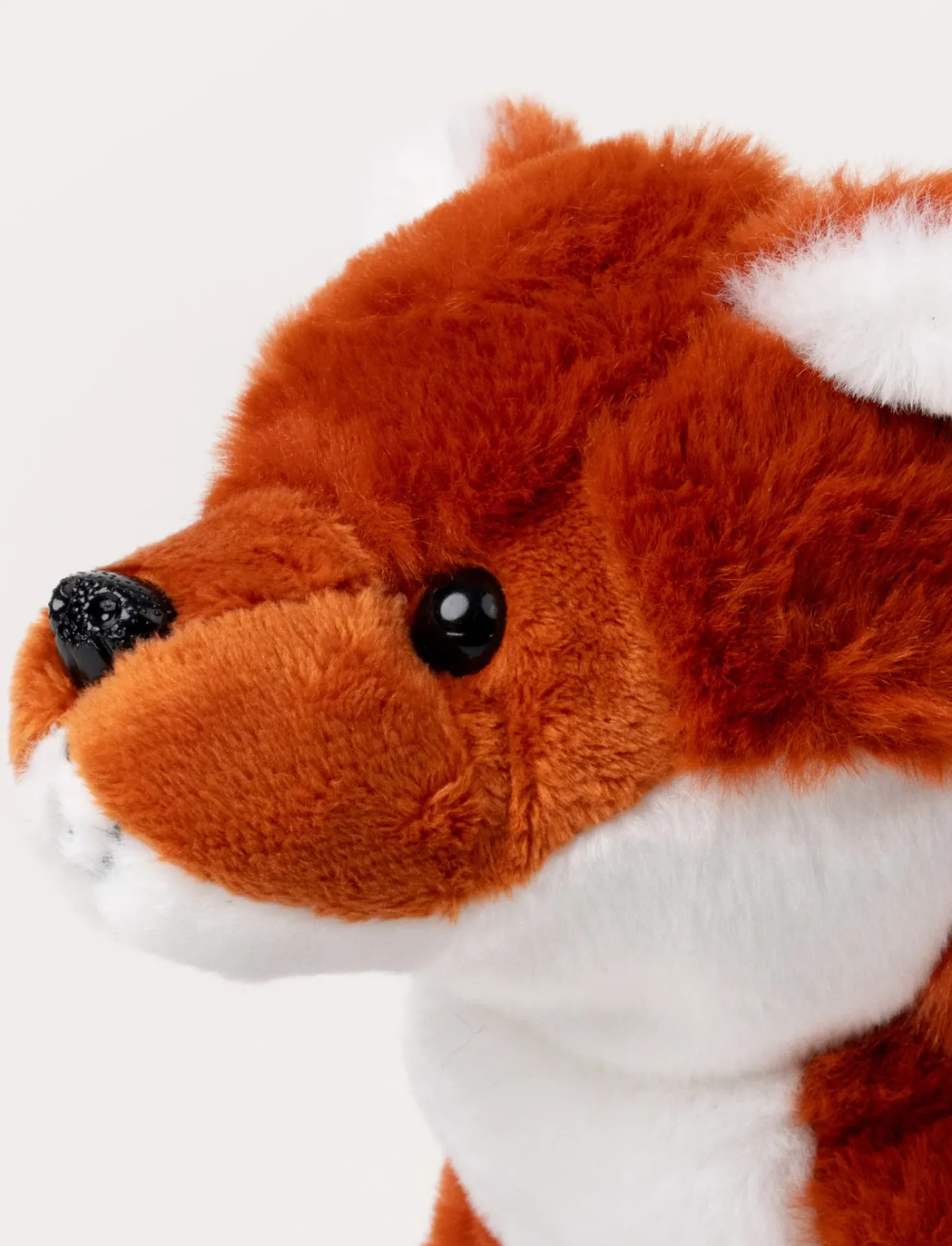 Teddy Forest, Räv