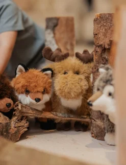 Teddy Forest, Räv