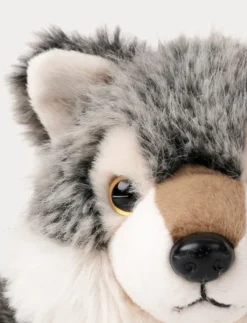 Teddy Forest, Varg