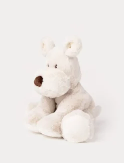 Teddy Mocca, Hund, Stor