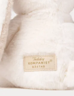 Teddy Mocca, Kanin, Liten