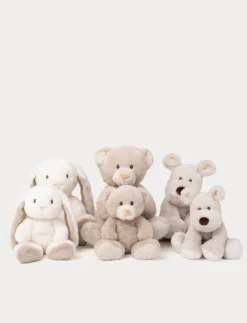 Teddy Mocca, Kanin, Stor