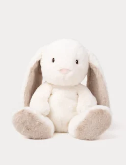 Teddy Mocca, Kanin, Stor