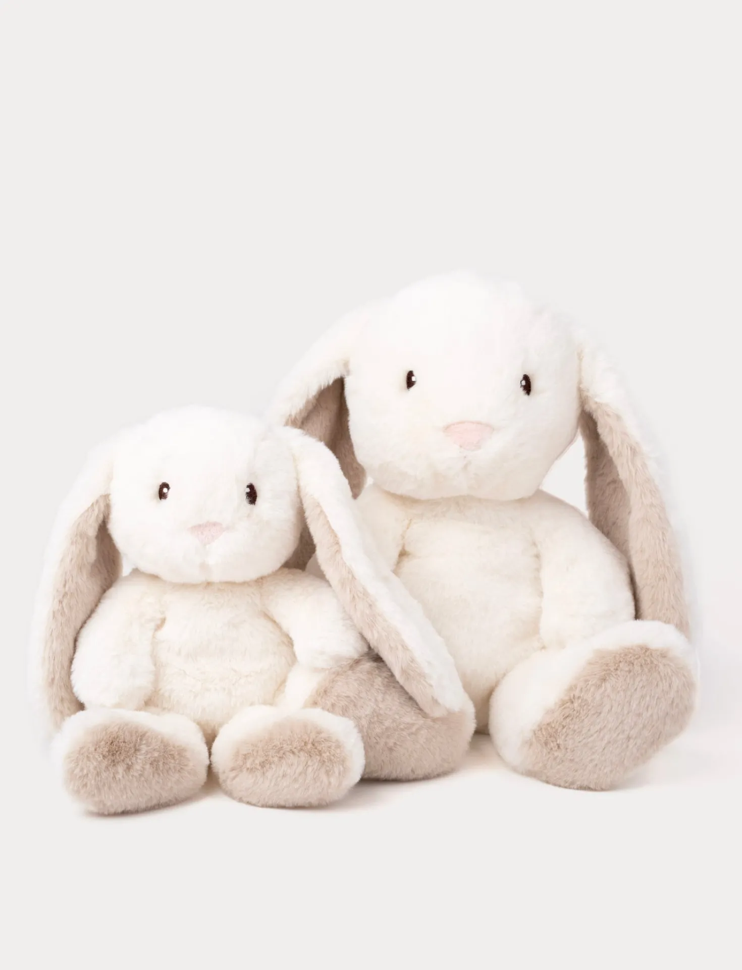 Teddy Mocca, Kanin, Stor