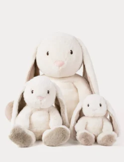 Teddy Mocca, Kanin, XL