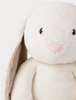 Teddy Mocca, Kanin, XL