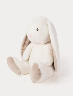 Teddy Mocca, Kanin, XL