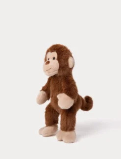 Teddy Wild, Apa