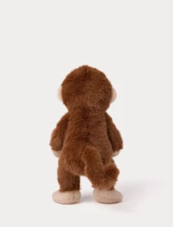 Teddy Wild, Apa