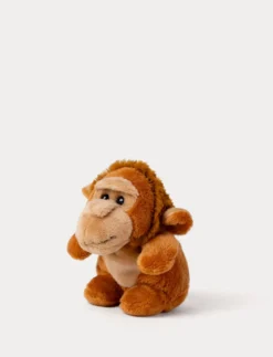 Teddy Wild, Beanies, Apa