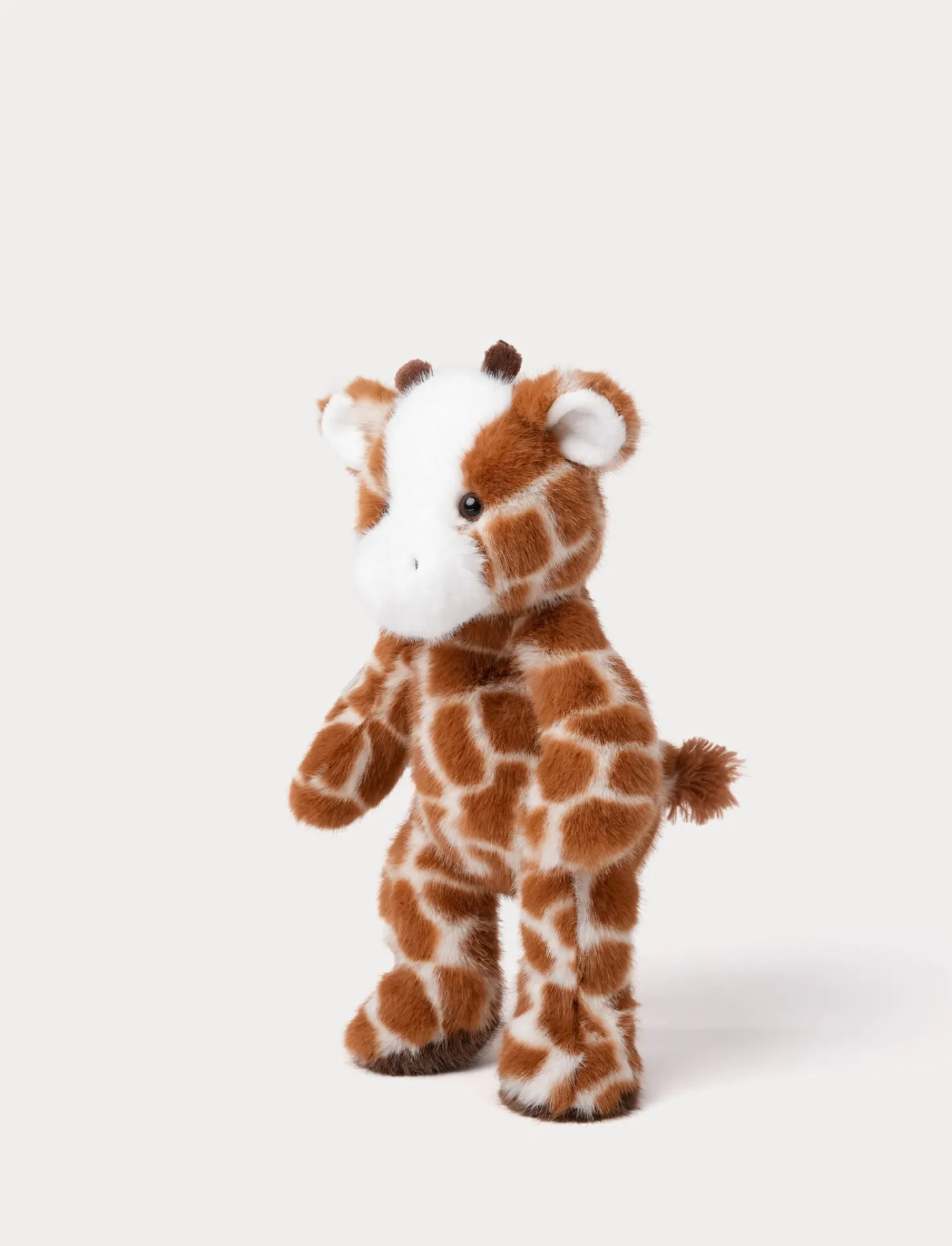 Teddy Wild, Giraff