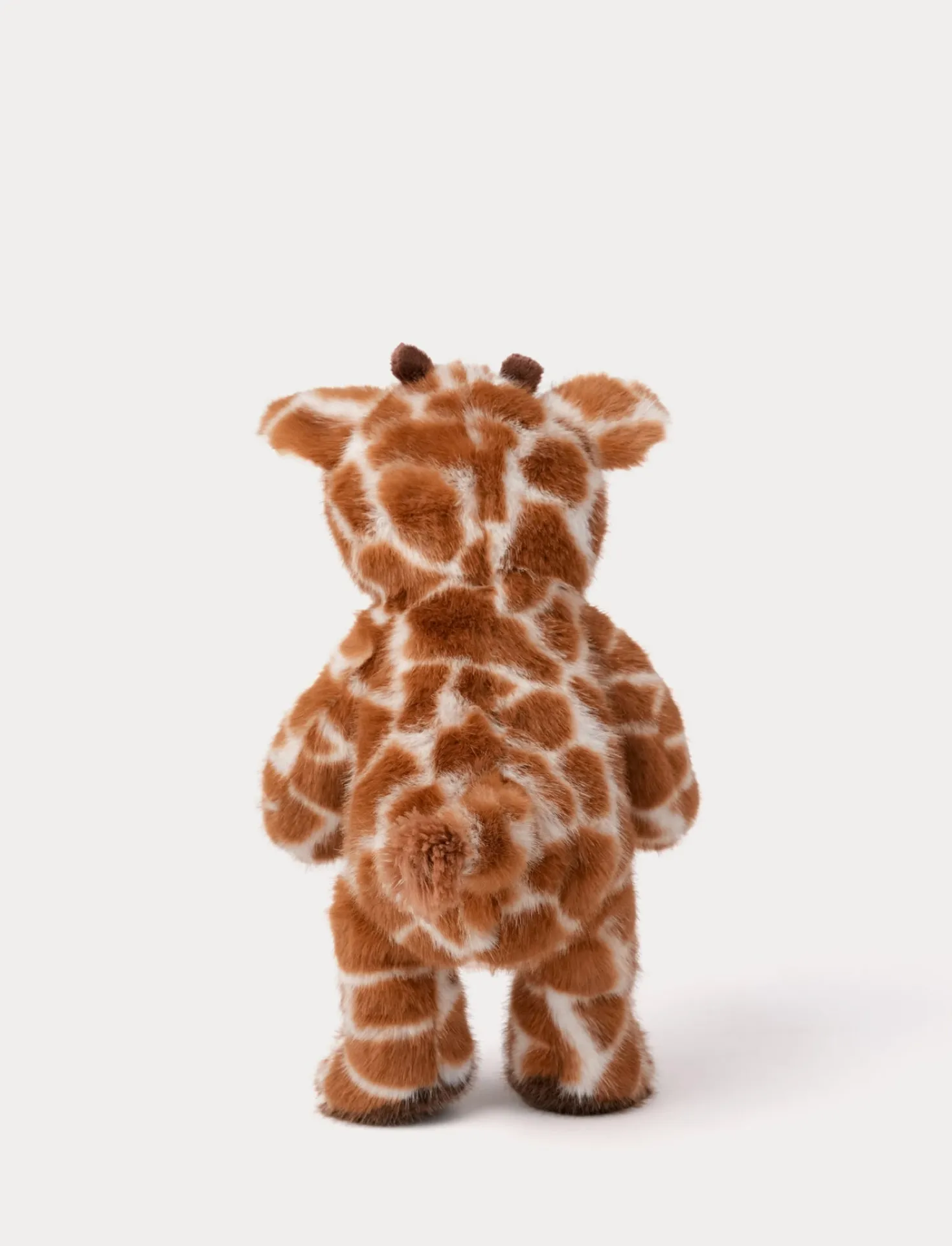 Teddy Wild, Giraff