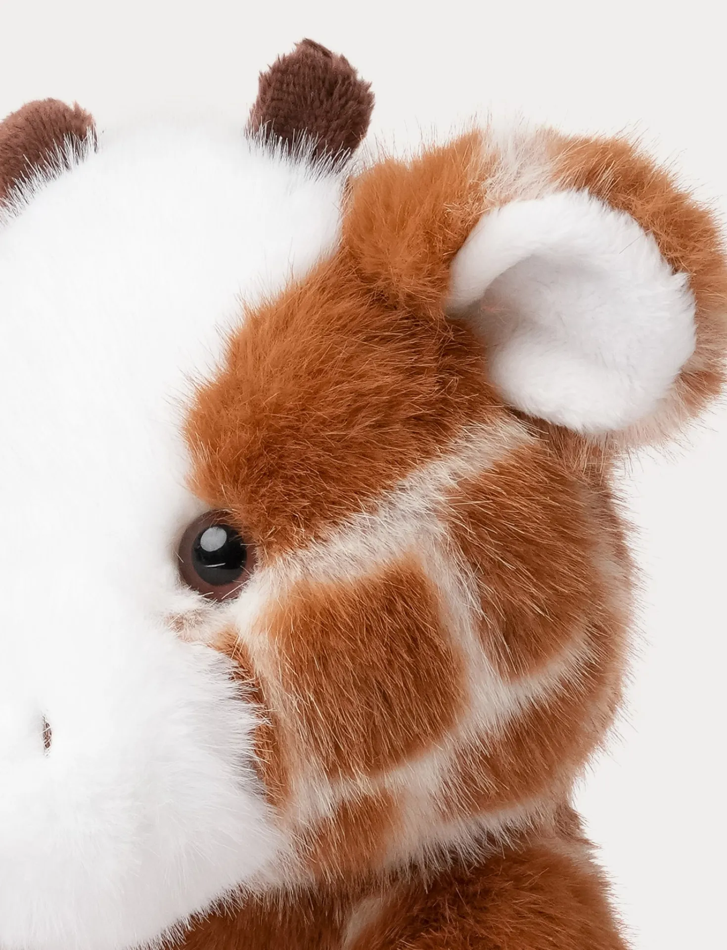 Teddy Wild, Giraff