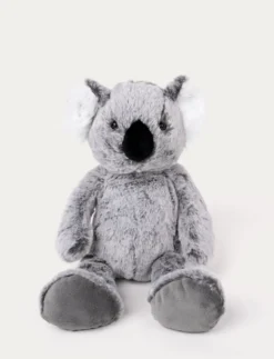 Teddy Wild, Koala