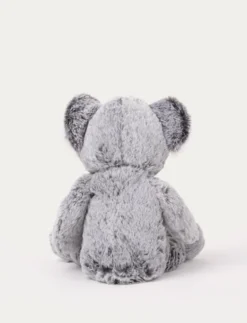 Teddy Wild, Koala