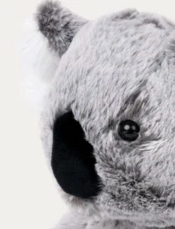 Teddy Wild, Koala
