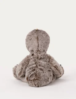 Teddy Wild, Sengångare