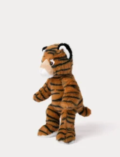 Teddy Wild, Tiger