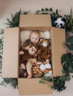 Teddy Wild, Tiger