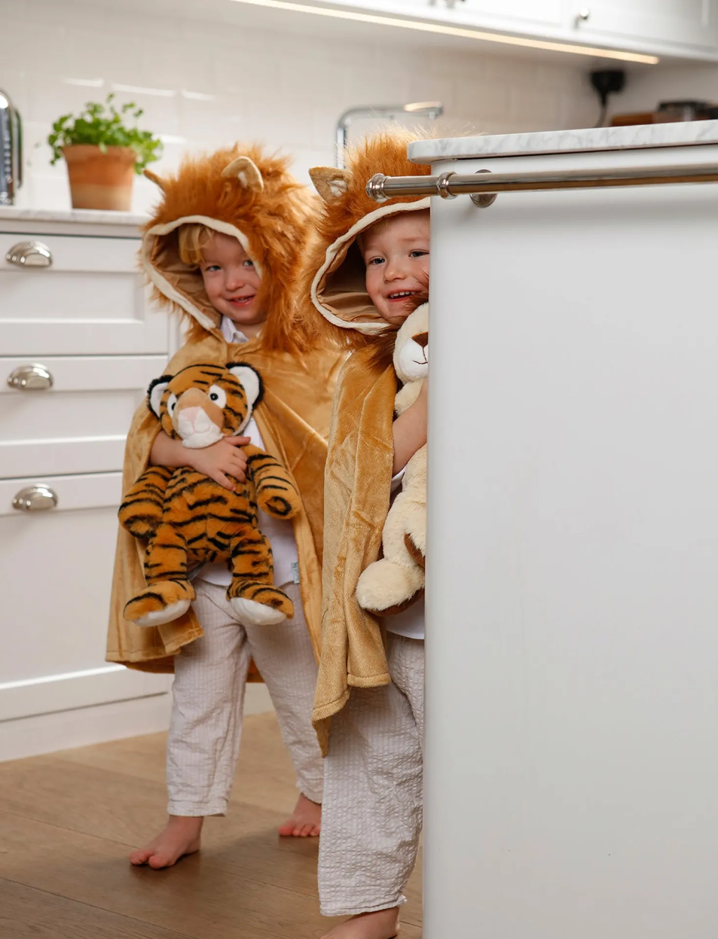 Teddy Wild, Tiger